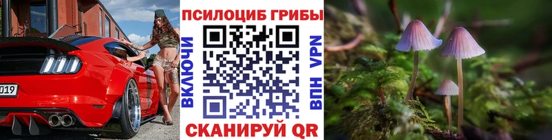 Галлюциногенные грибы Magic Shrooms  omg   Великий Устюг 