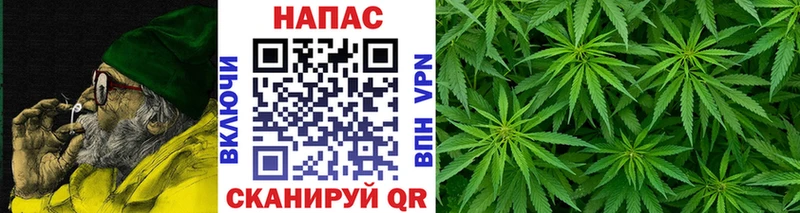 Конопля индика Великий Устюг